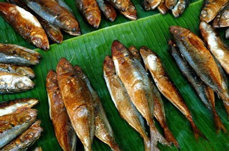 tinapat in english